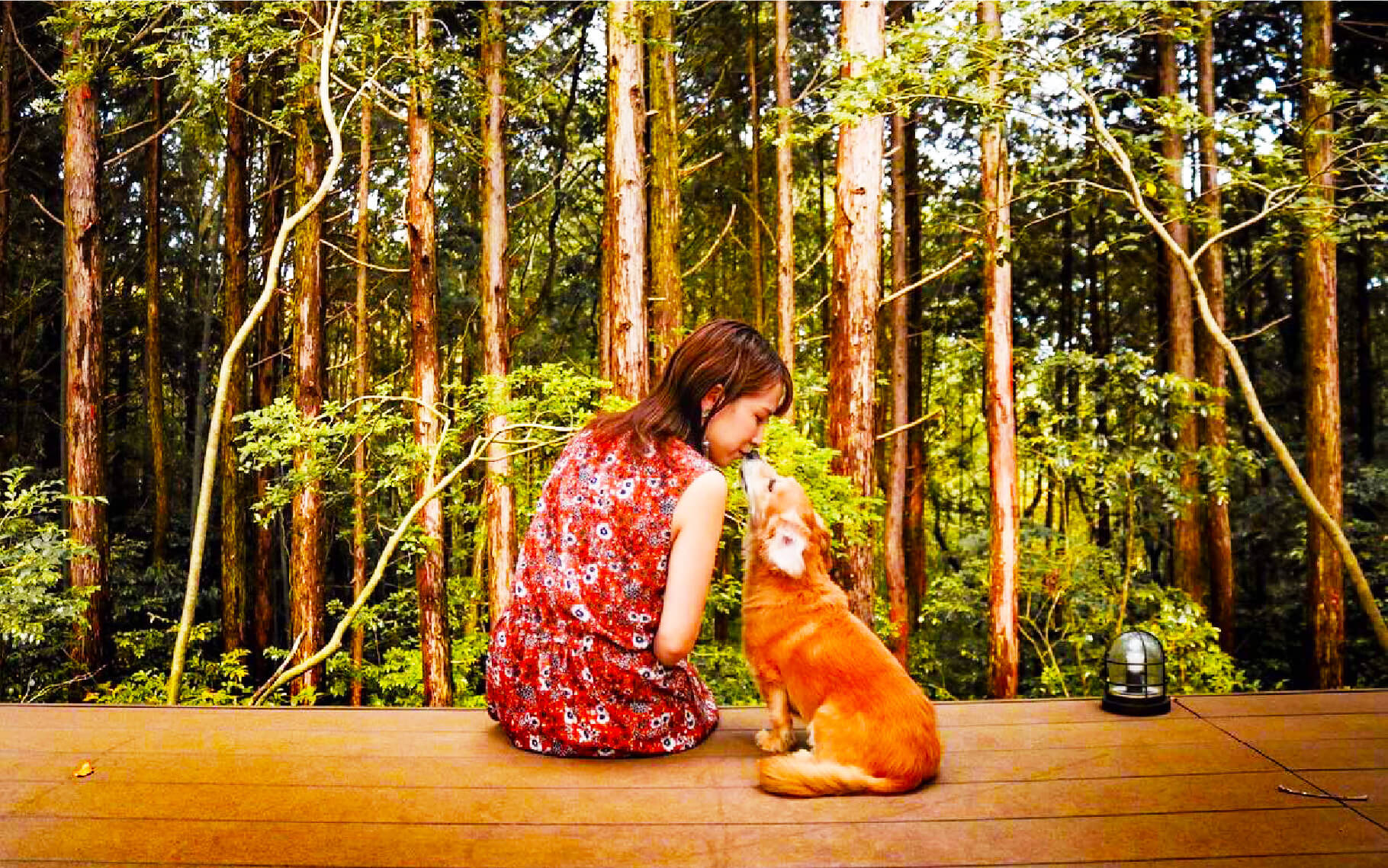 温泉地近くのグランピングで味わう贅沢な森の朝食 九州の自然を満喫